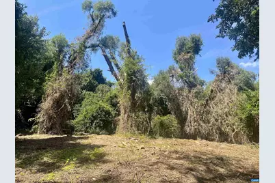 1630 Buck Rd, Crozet, VA 22932 - Photo 22