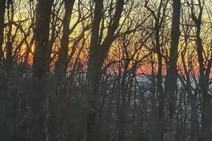 12 Powderhorn Ln, Wintergreen Resort, VA 22967 - Photo 2