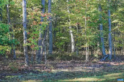 6308 Jefferson Mill Rd, Scottsville, VA 24590 - Photo 34