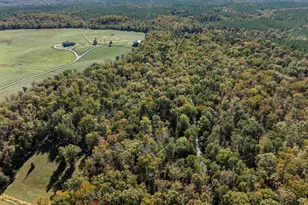 2325 Mountain Brook Dr, Charlottesville, VA 22902 - Photo 56