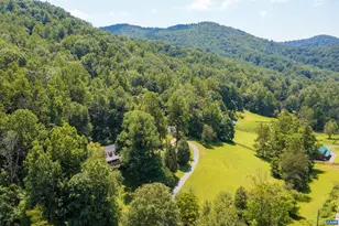 4375 Taylor Creek Rd, Afton, VA 22920 - Photo 74