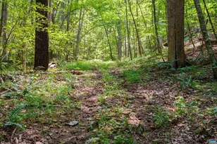 4375 Taylor Creek Rd, Afton, VA 22920 - Photo 70