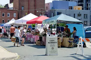 253 E Jefferson St, Charlottesville, VA 22902 - Photo 34