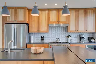 550 Water St, Charlottesville, VA 22902 - Photo 14