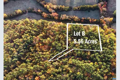 Lot B Link Evans Ln, Earlysville, VA 22936 - Photo 8