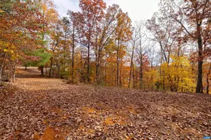 125 Riverbreeze Ct, Howardsville, VA 24562 - Photo 46