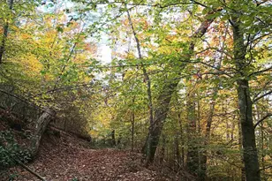 125 Riverbreeze Ct, Howardsville, VA 24562 - Photo 52