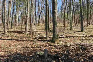 16903 Blue Ridge Pkwy, Lyndhurst, VA 22952 - Photo 18