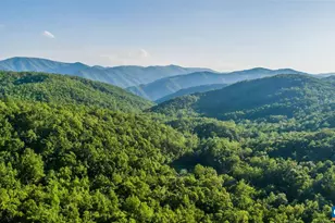 16903 Blue Ridge Pkwy, Lyndhurst, VA 22952 - Photo 26