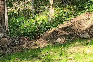 12 Langdon Woods Dr, Dyke, VA 22935 - Photo 48