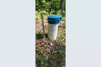 12 Langdon Woods Dr, Dyke, VA 22935 - Photo 56