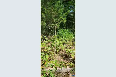 12 Langdon Woods Dr, Dyke, VA 22935 - Photo 58