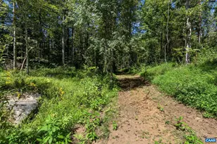 12 Langdon Woods Dr, Dyke, VA 22935 - Photo 68