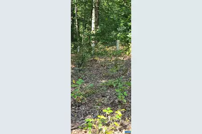 12 Langdon Woods Dr, Dyke, VA 22935 - Photo 46