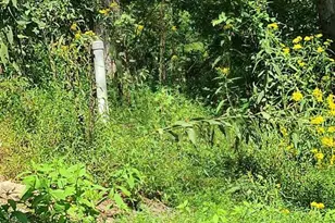 12 Langdon Woods Dr, Dyke, VA 22935 - Photo 52