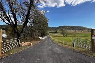 3834 Thomas Dairy Ln, North Garden, VA 22959 - Photo 70