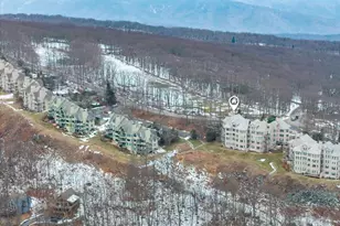 1802 High Ridge Ct Condos, Wintergreen Resort, VA 22967 - Photo 42