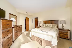 1802 High Ridge Ct Condos, Wintergreen Resort, VA 22967 - Photo 22