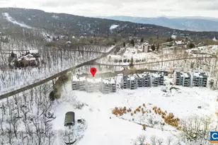 1411 Highlands Condos, Roseland, VA 22967 - Photo 46