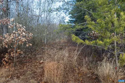 3.94 Ac Peace and Quiet Cir, Reva, VA 22735 - Photo 6