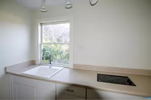 294 & 262 Freshwater Cove Ln, Lovingston, VA 22949 - Photo 58