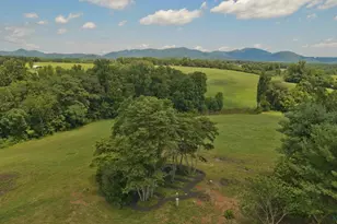 294 & 262 Freshwater Cove Ln, Lovingston, VA 22949 - Photo 74