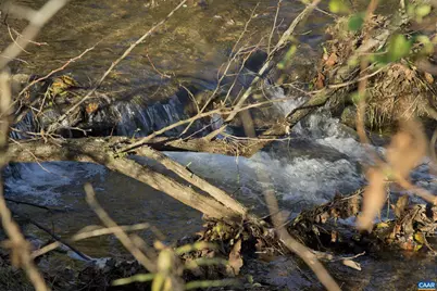 294 & 262 Freshwater Cove Ln, Lovingston, VA 22949 - Photo 72