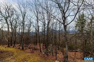 765 Laurelwood Condos, Wintergreen Resort, VA 22967 - Photo 24