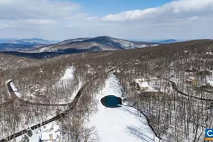 274 Laurel Springs Dr, Wintergreen, VA 22967 - Photo 54