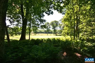 274 Laurel Springs Dr, Wintergreen, VA 22967 - Photo 44