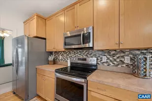 1375 Amber Ridge Rd, Charlottesville, VA 22901 - Photo 20