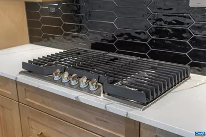 1169 Sablewood Dr, Charlottesville, VA 22911 - Photo 22