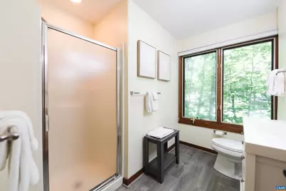 278 E Catoctin Dr, Wintergreen Resort, VA 22967 - Photo 68