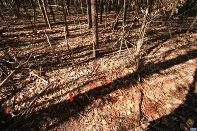 Tba Slate River Mill Rd #2.002 AC., Buckingham, VA 23921 - Photo 26