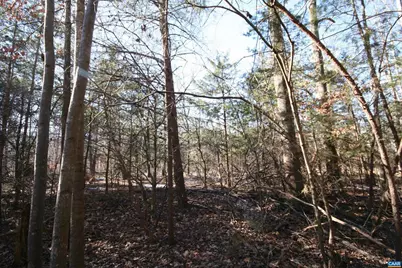 Tba Slate River Mill Rd #2.17 AC. SLATE RIVER, Buckingham, VA 23921 - Photo 16