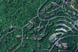 138 Oak Ln, Wintergreen Resort, VA 22967 - Photo 54