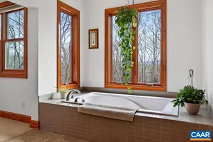 519 Foothills Dr, Nellysford, VA 22958 - Photo 54