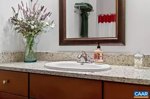 519 Foothills Dr, Nellysford, VA 22958 - Photo 64