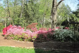 1413 Foxbrook Ln, Charlottesville, VA 22901 - Photo 56