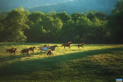 745 Walker Sq #3B, Charlottesville, VA 22903 - Photo 52