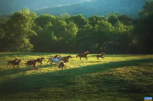 745 Walker Square, Charlottesville, VA 22903 - Photo 52