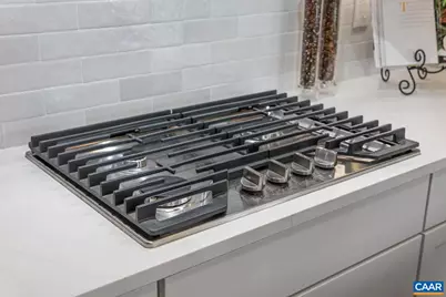 19 Fowler St #C1, Charlottesville, VA 22901 - Photo 12