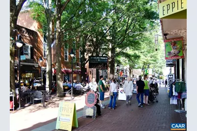 1101 Towne Ln, Charlottesville, VA 22901 - Photo 30