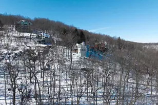 353 Crawfords Edge, Wintergreen Resort, VA 22967 - Photo 58