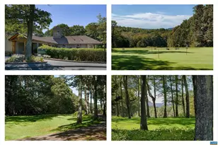 353 Crawfords Edge, Wintergreen Resort, VA 22967 - Photo 74