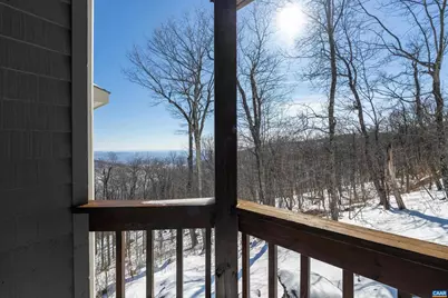 353 Crawfords Edge, Wintergreen Resort, VA 22967 - Photo 54