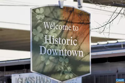 117 Burnet St, Charlottesville, VA 22902 - Photo 38