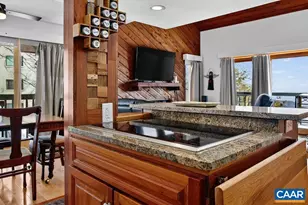 1448 Highlands Condos, Wintergreen, VA 22958 - Photo 12