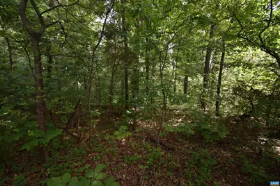 14315 Willis Ct #15, Orange, VA 22960 - Photo 4