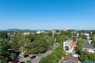 320 B 11th St, Charlottesville, VA 22902 - Photo 8